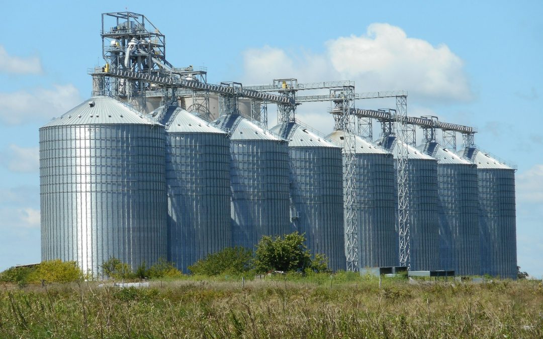 Più unità produttive con una gestione centralizzata: GSP Bilance per Centro Cereali Carmagnola